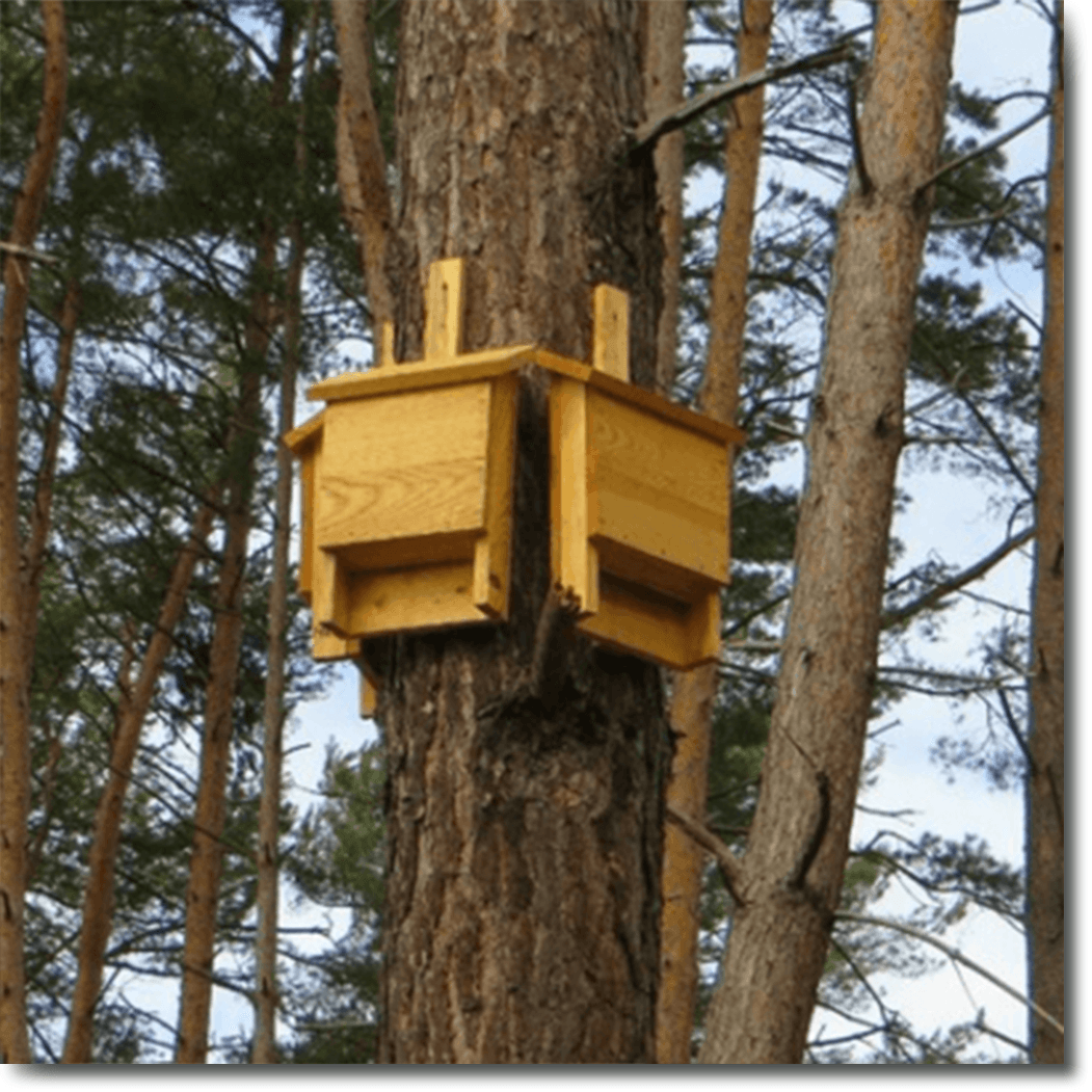 Bat Houses